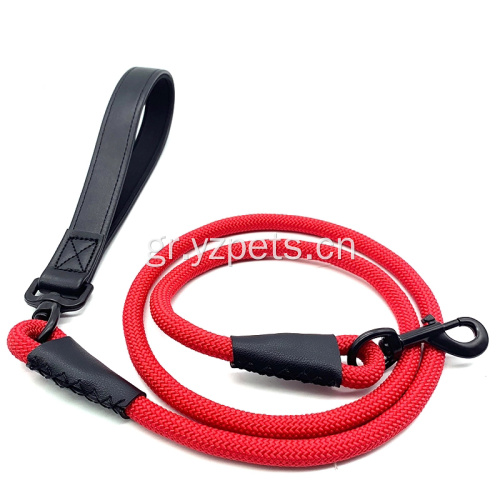 Χονδρικό προσαρμοσμένο λογότυπο Luxury Nylon Dog Leash